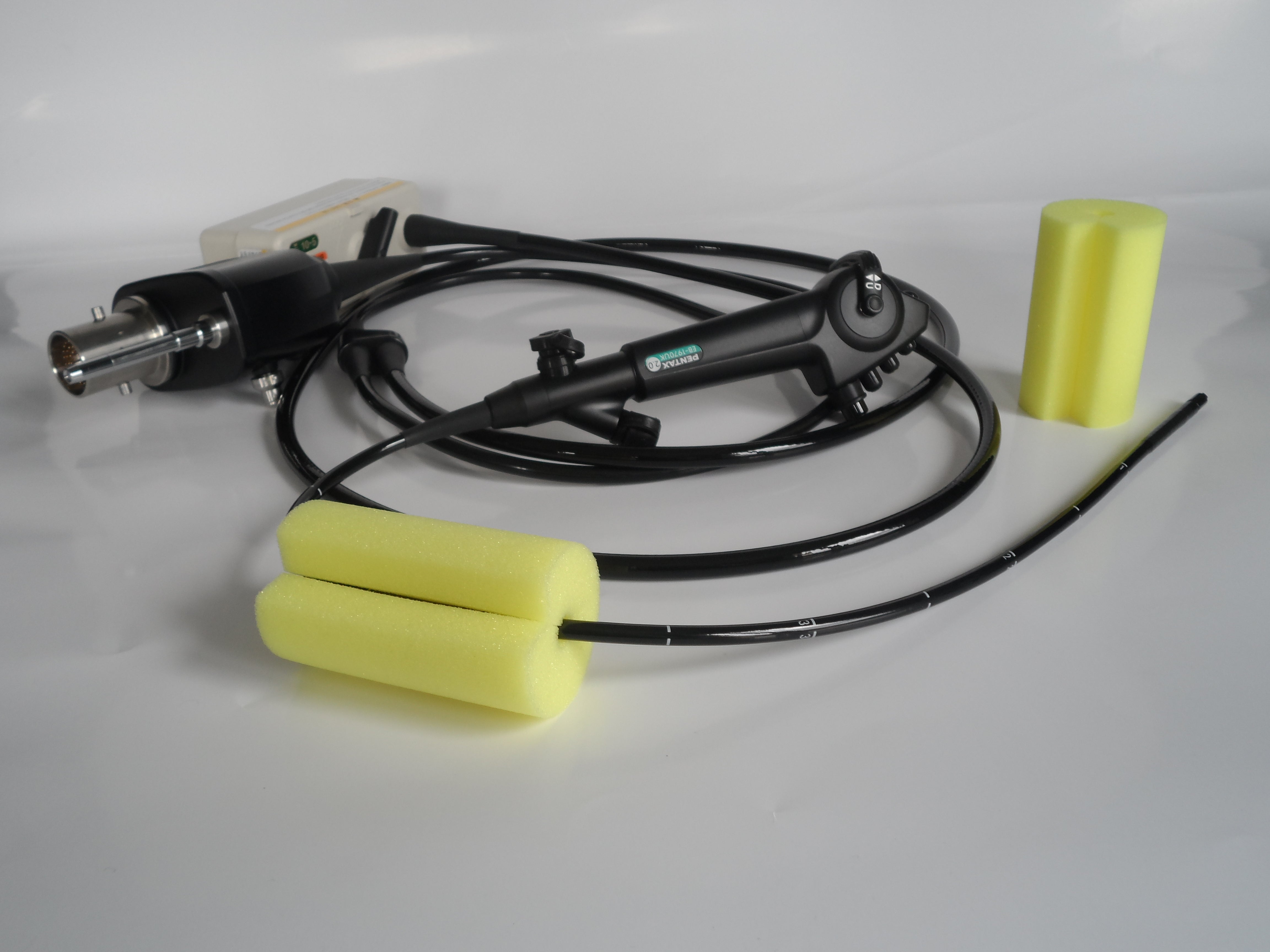 Endo Clean éponge